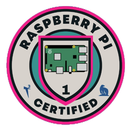 Raspberry PI Medal