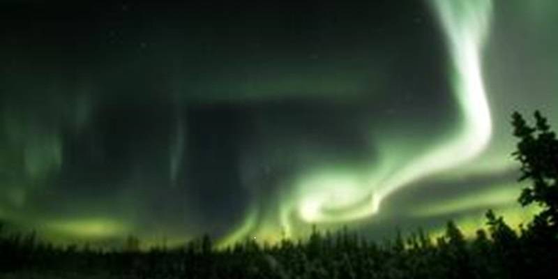 Green aurora lights in the sky.