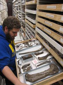 student with wood drawer containing fossils