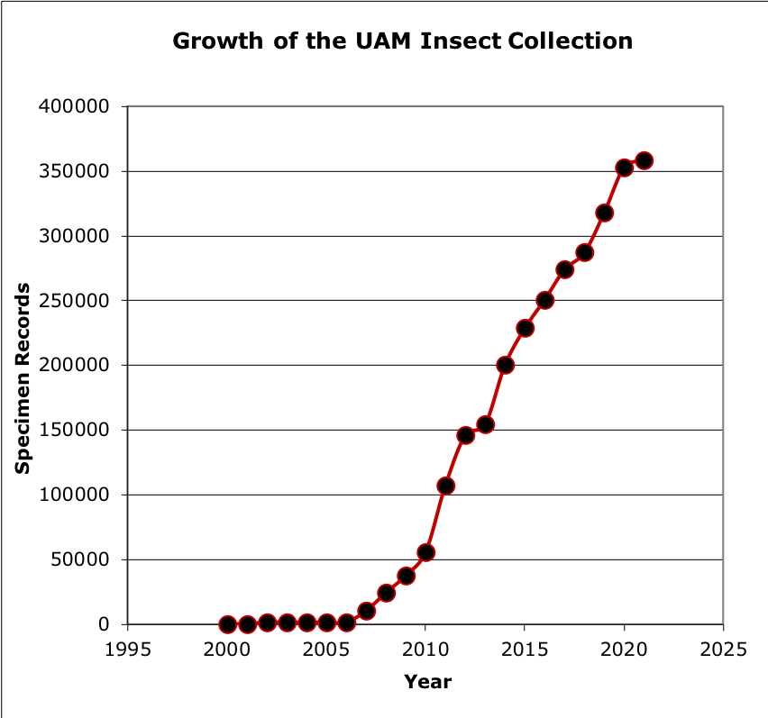UAM Insect Collection Growth
