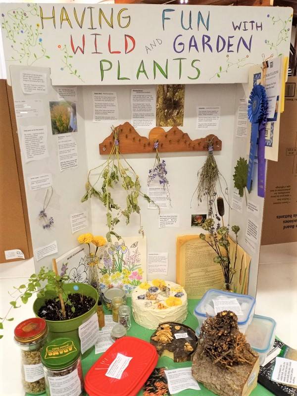 Posterboard labeled "Having Fun With Wild & Garden Plants". Next to the poster are several potted plants.