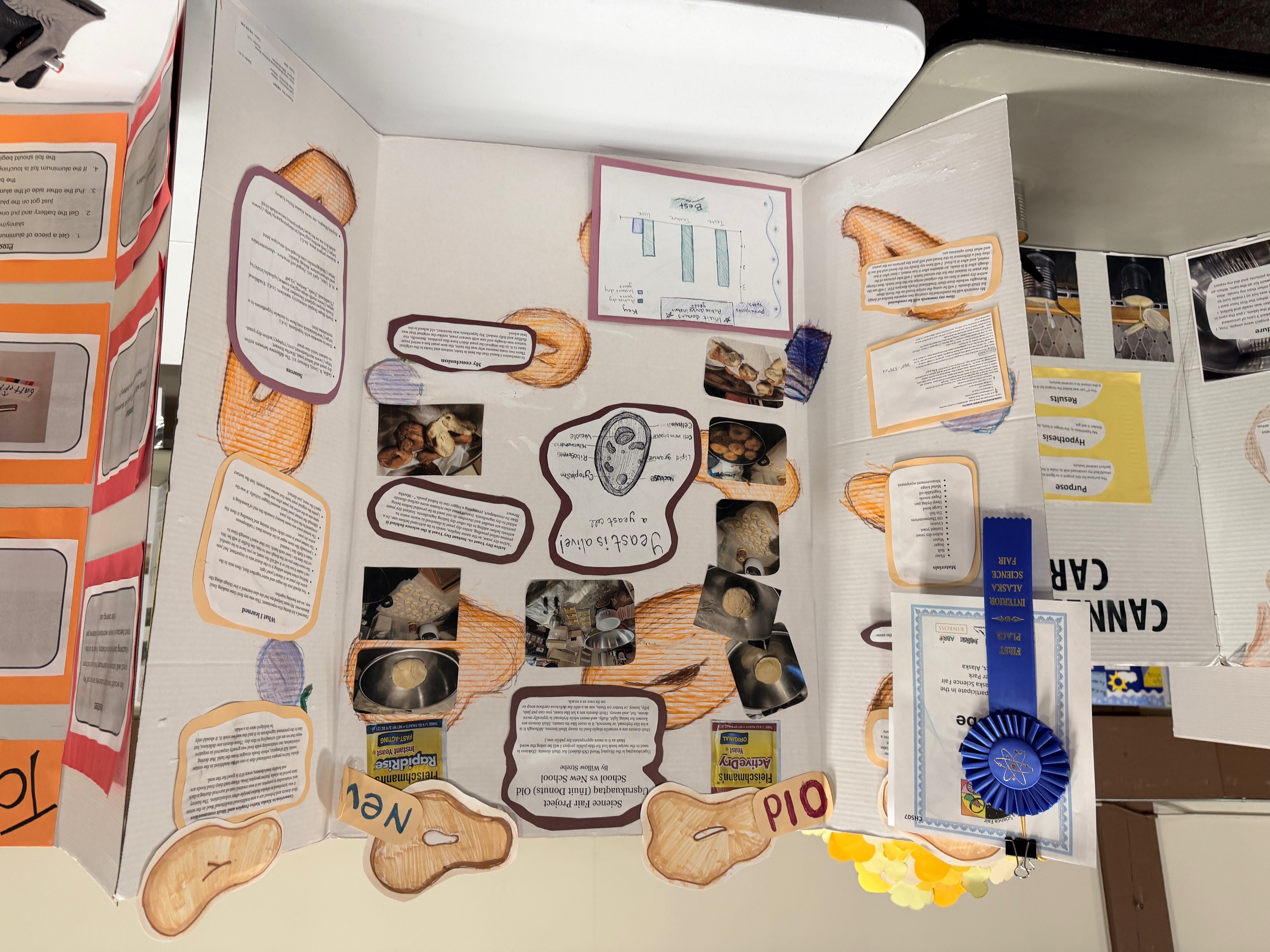 Science fair display about inuit donuts