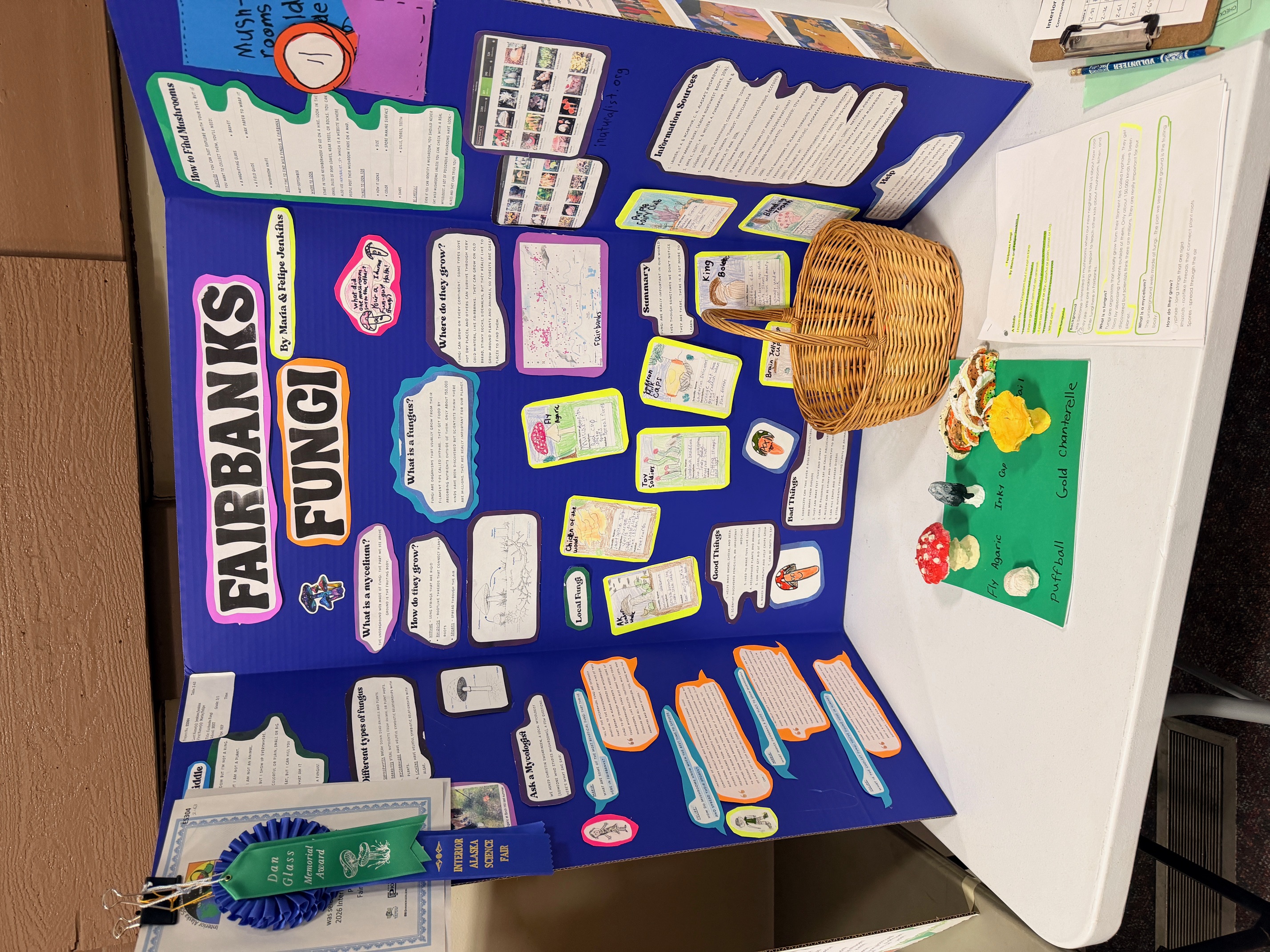 science fair display about fungi