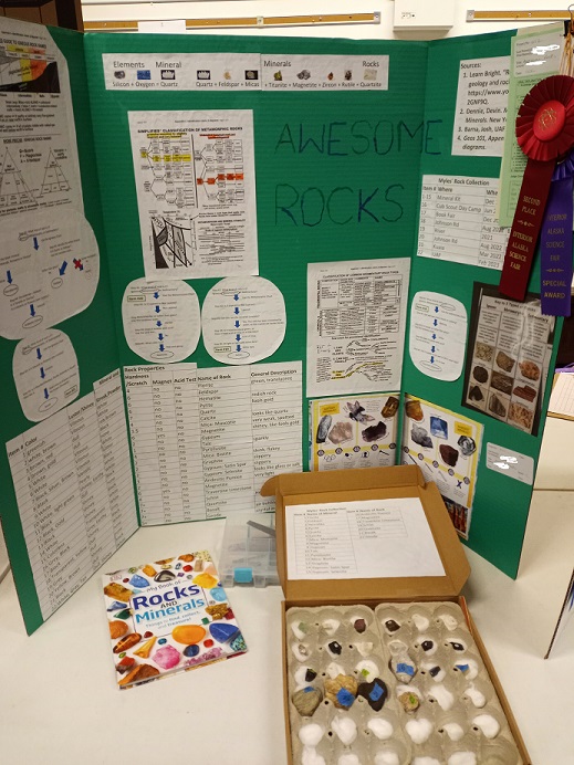 Science Fair project display