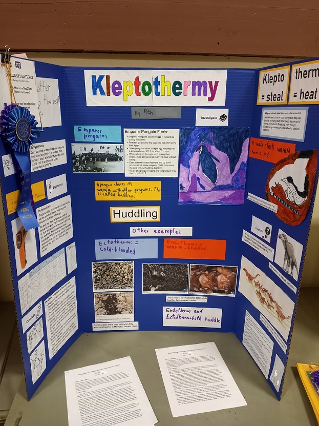 Science Fair Project Display