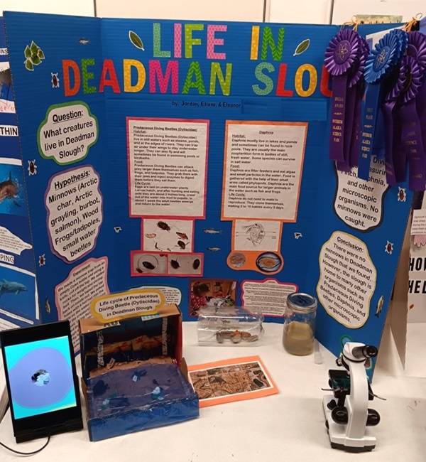 Blue Science Fair posterboard, with the title "Life in Deadman Slough". A microscope is on the table in front of the posterboard.