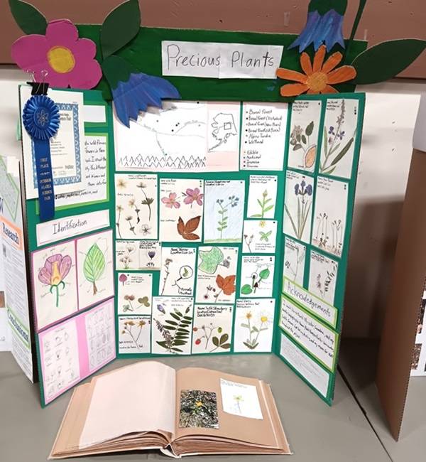 Science Fair posterboard with the title "Precious Plants", covered in drawings of plants.