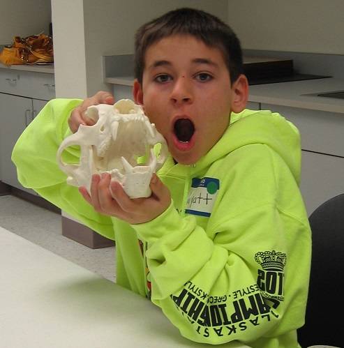 Child holding a replica skull and looking at the camera.