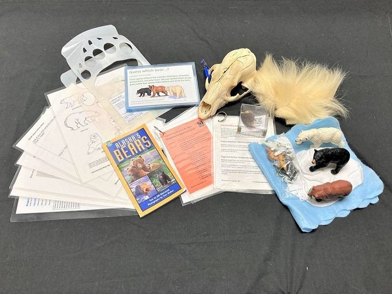 Bear Homeschool Kit contents on a black background.