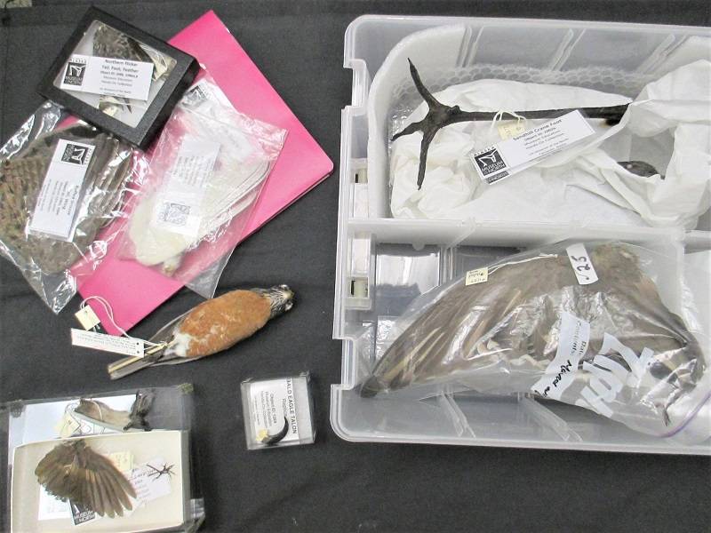Bird Homeschool kit contents on a black background.