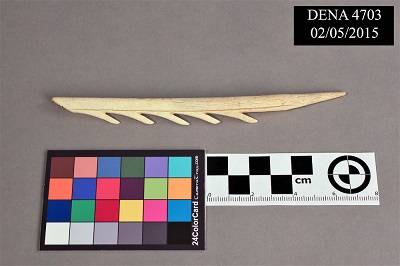 Antler projectile point on a gray background, with a centimeter ruler and color card for reference,