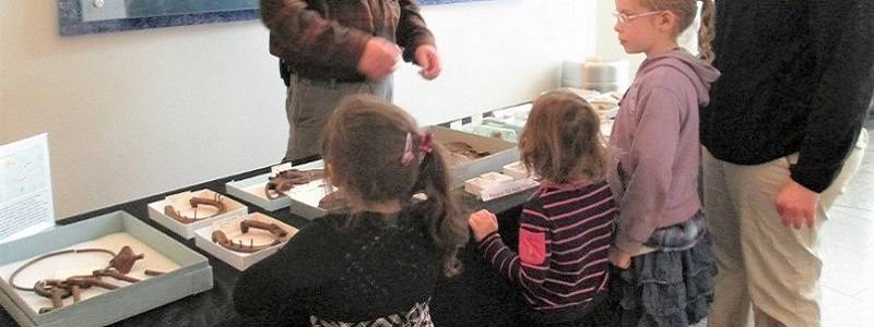 Three children looking at archaeology artifacts on a table.