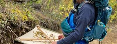 Person outside in a forest, holding a large screen with a number of insects and leaves on top.