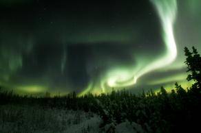 Green aurora lights dance across the night sky.