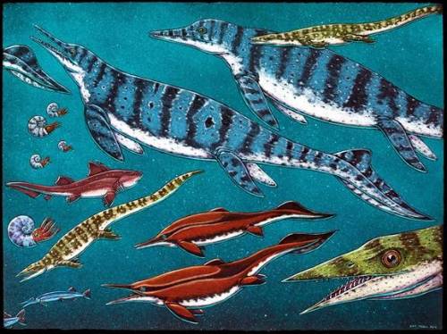 Drawing of sea creatures on a teal background.