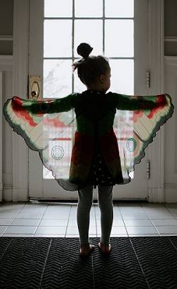 A child wearing a butterfly costume holds up their arms to display the butterfly wings.
