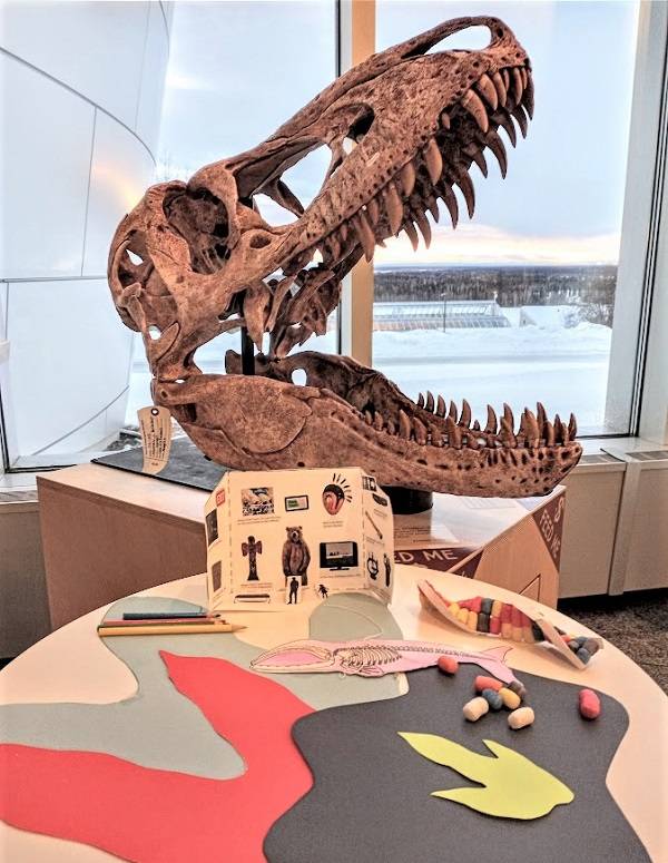 Variety of activity supplies in front of a tarbosaur skull.