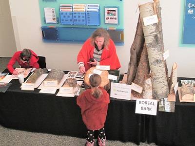 Child looking at a table covered in small and large pieces of tree bark. Curator Steffi Ickert-Bond is standing behind the table.