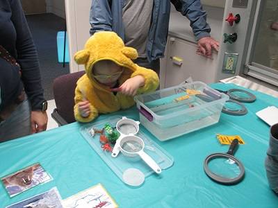 A child looks through a magnifying glass at several animal figurines next to a tub of water.