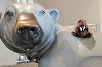 Walrus plushie sitting on the back of a metal sculpture of a polar bear.