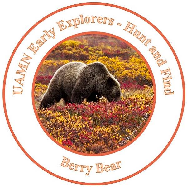 Grizzly bear foraging for berries. Text says UAMN Early Explorers Hunt & Find Berry Bear.