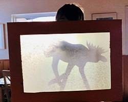 Child standing behind a shadow puppet theater, holding a moose puppet up to the screen to cast a shadow.