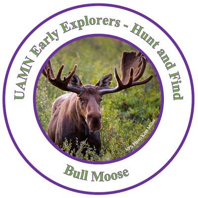 Moose with antlers standing in grass. Text says "UAMN Early Explorers: Hunt and Find: Bull Moose".