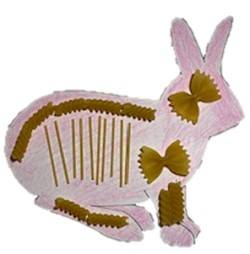Outline of a snowshoe hare cut out of construction paper, colored with crayons. Pieces of dry pasta are glued on to the paper to form a "skeleton".