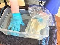 Close up of two hands in a clear container of water. One hand is wearing a blue disposable glove, and the other is in a bag half full of shortening.