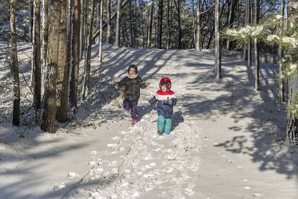 Two children walking through a sunny forest, with snow on the ground.