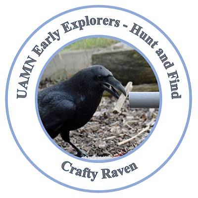 Raven holding a stick in his mouth. Around the edges are the words "UAMN Early Explorers: Hunt and Find: Crafty Raven."