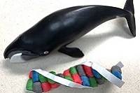 A plastic figurine of a whale next to a homemade DNA model.