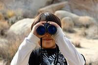  Child holding binoculars to their eyes.