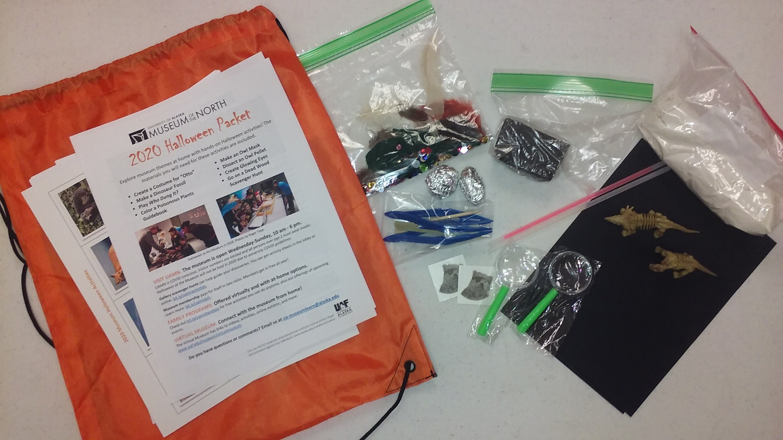 Packet contents--papers, small dino toys, and craft supplies.