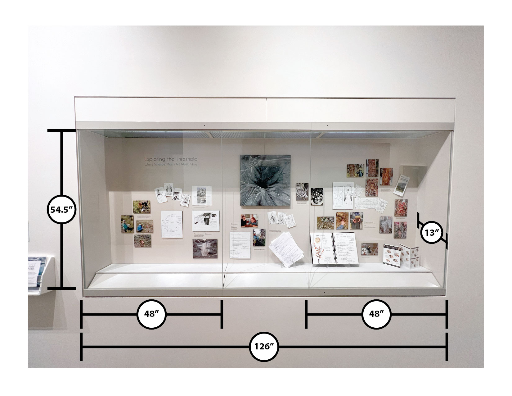 Rose Berry Alaska Art Gallery wall case