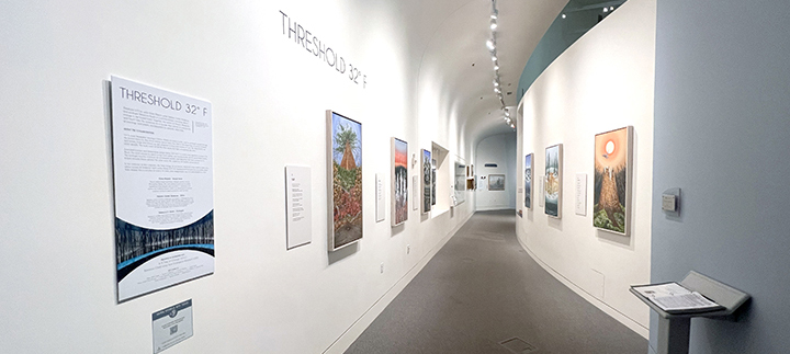 Our Own Perspectives Gallery