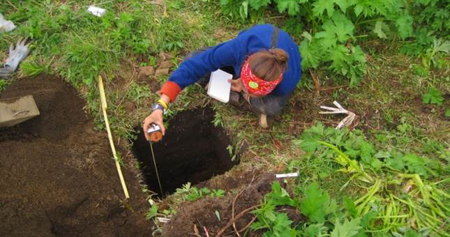 Jillian Richie excavates a test pit in an archaeological house feature on the Central Alaska Peninsula in 2011. Photo by Sam Coffman.