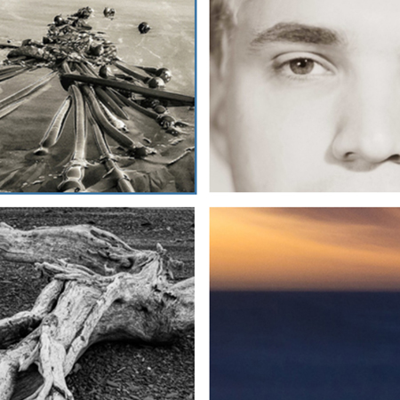 Explore the exhibit online.