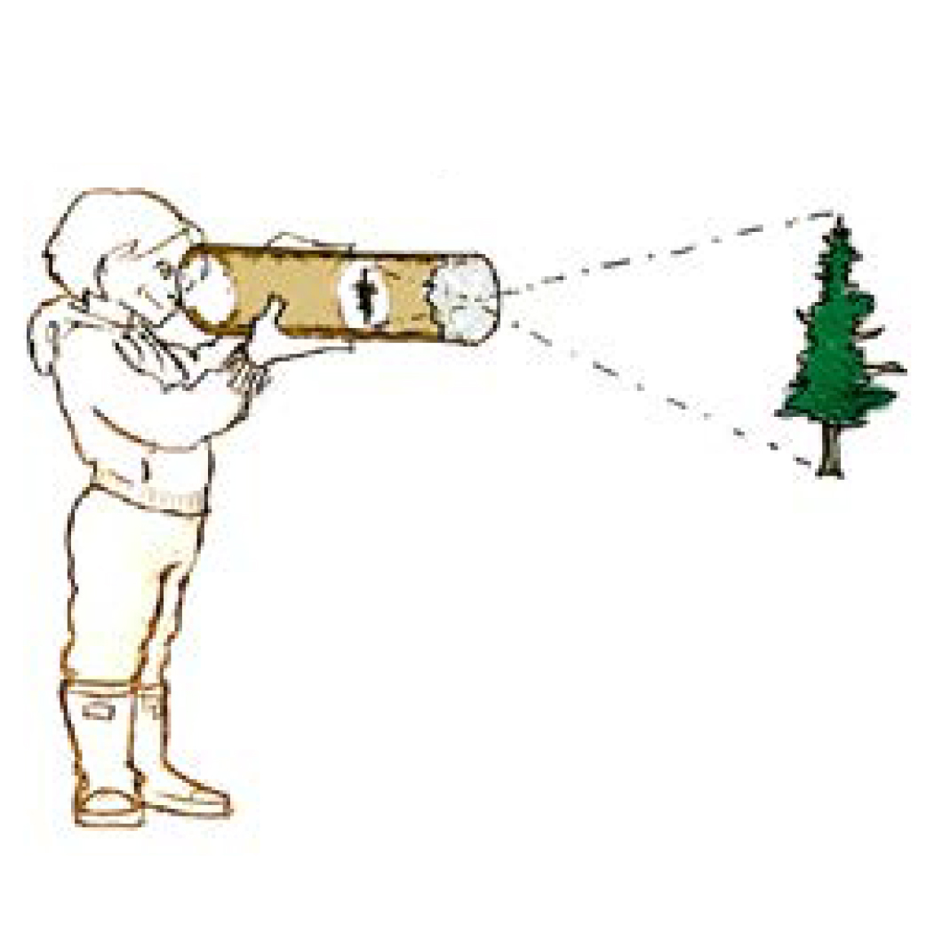 Alaska Positive Museum of the North