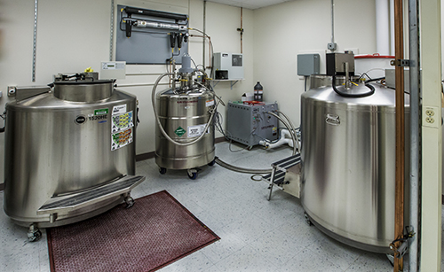 Liquid nitrogen generator and cryovats in the University of Alaska Museum of the North's Genomic Resources Facility