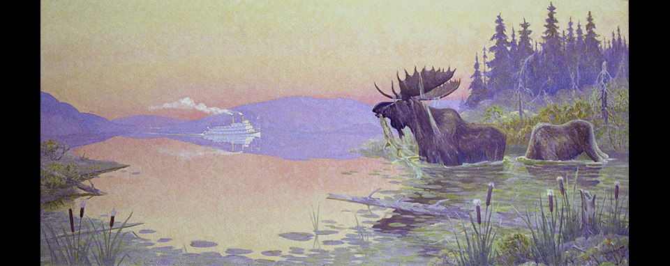 Magnus Colcord Heurlin, Bull Moose and Steamboat, 1969, UA1988-016-004