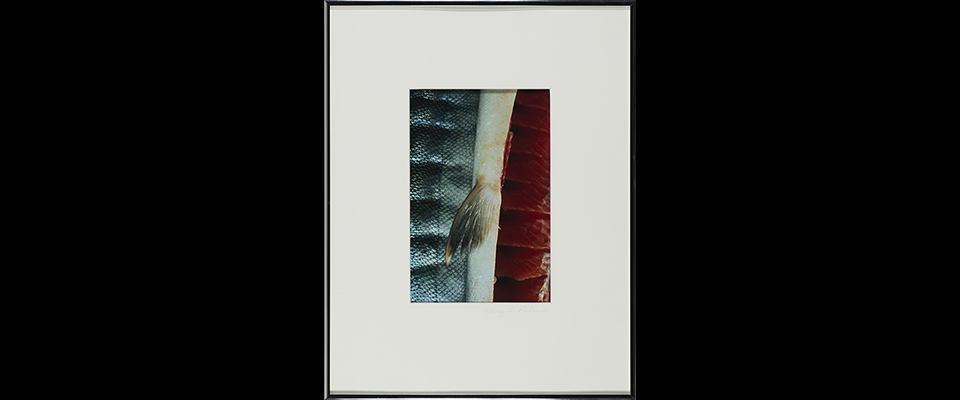 Nancy L. Rabener, Drying Salmon With Fin, 1993, UAP1994-001-001