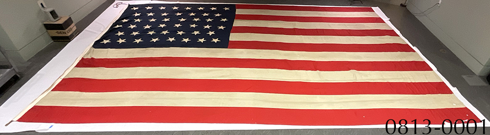 US 46-Sar Flag