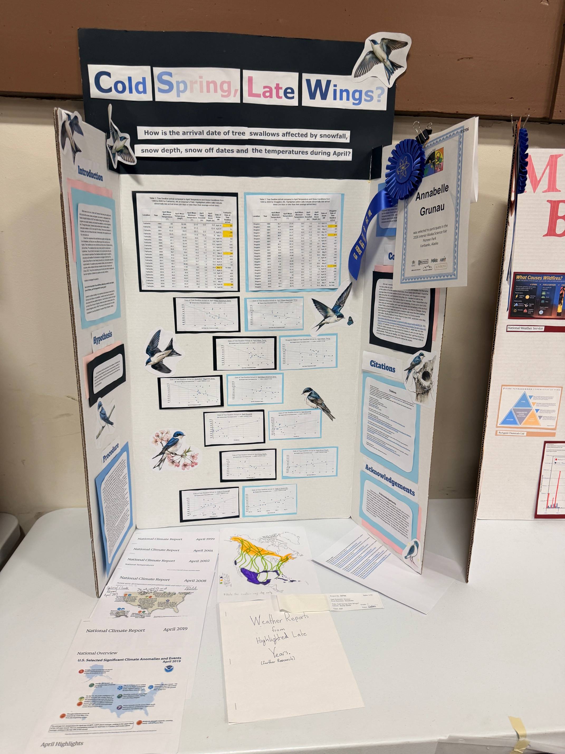 science fair display about songbirds