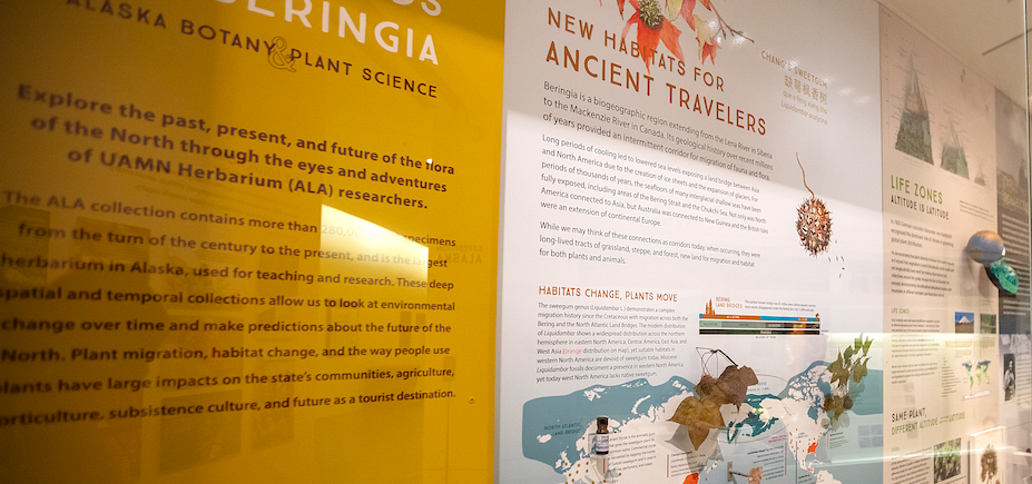 Crossroads of Beringia