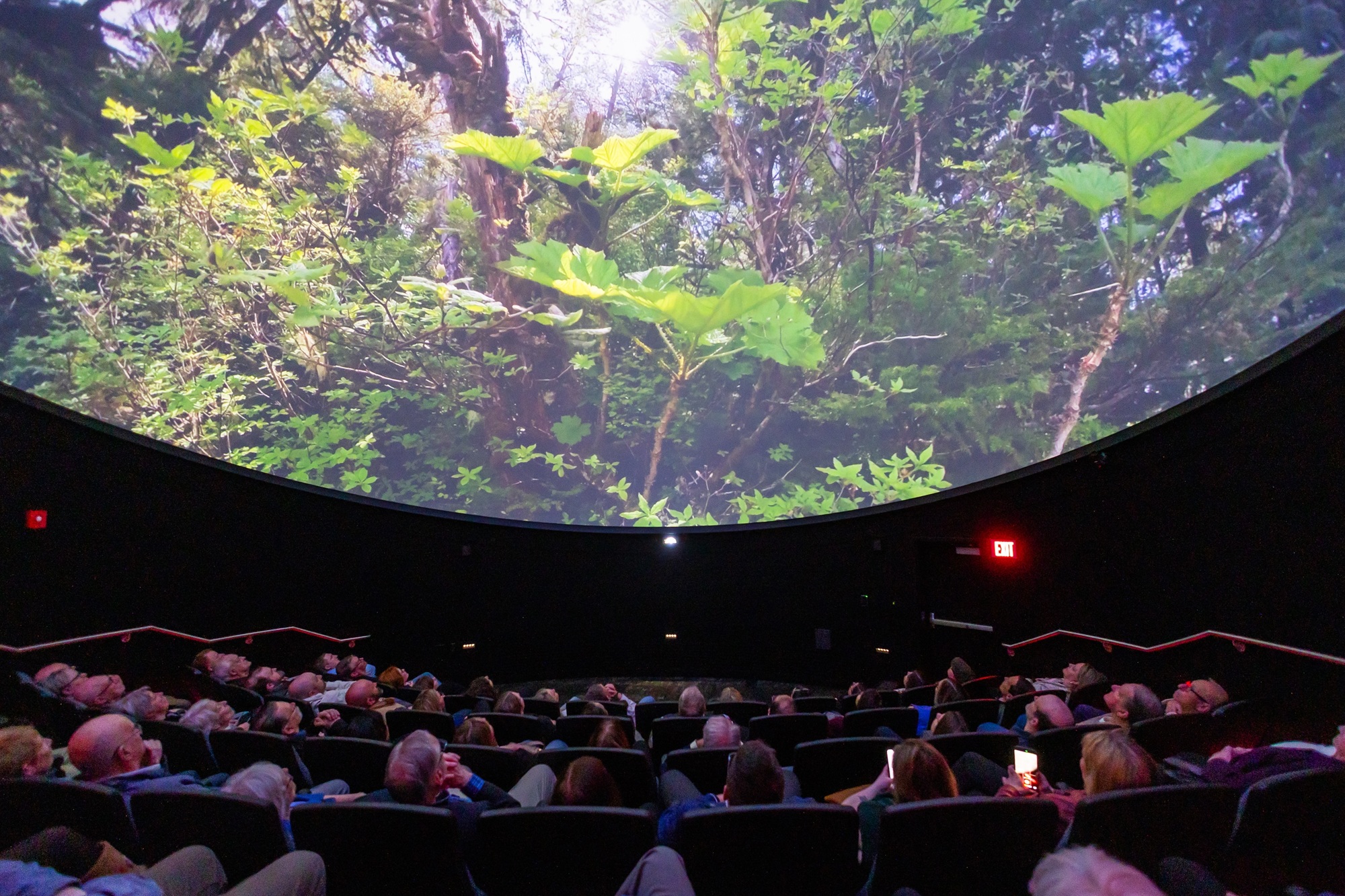 Audience in the Babula Planetarium watching a nature scene on the dome