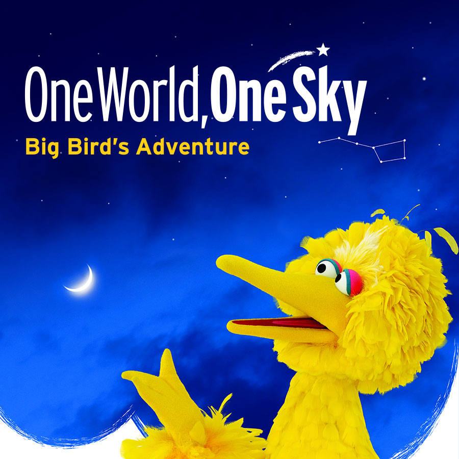 Big Bird looking at sky with title One World, One Sky Big Bird's Adventure