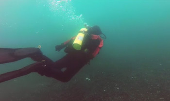 Watch the course video teaser