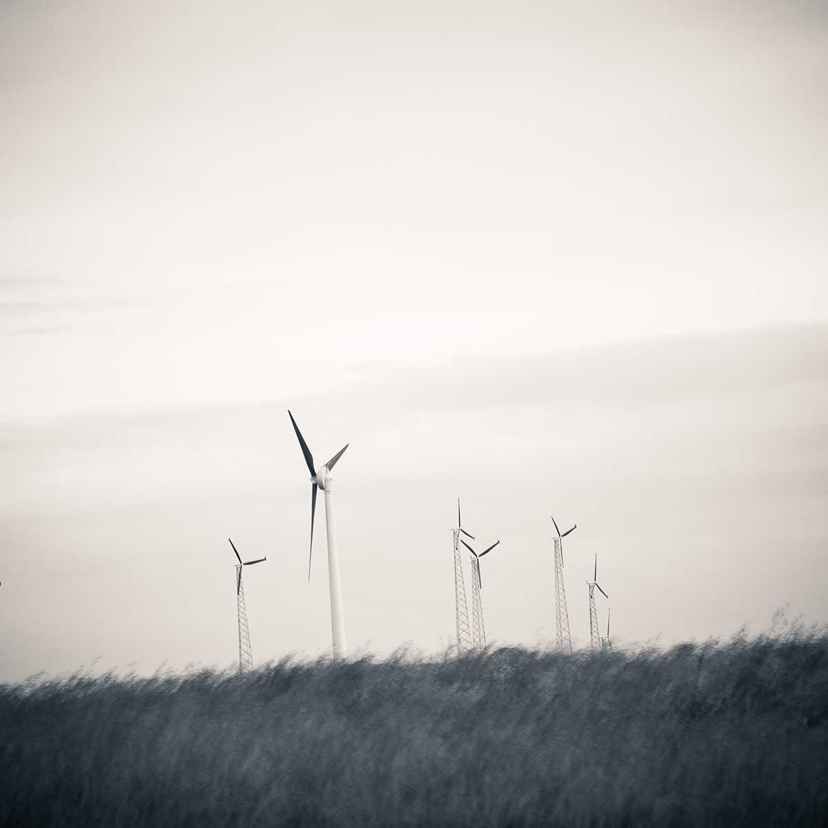 Wind turbines Photo by Alyssa Enriquez