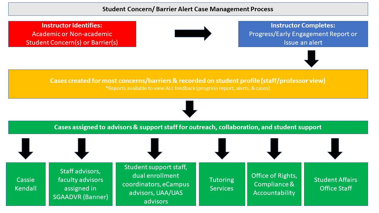 Student concern or barrier alert case process
